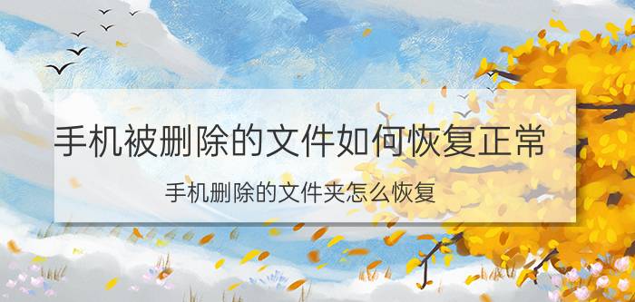 手机被删除的文件如何恢复正常 手机删除的文件夹怎么恢复？